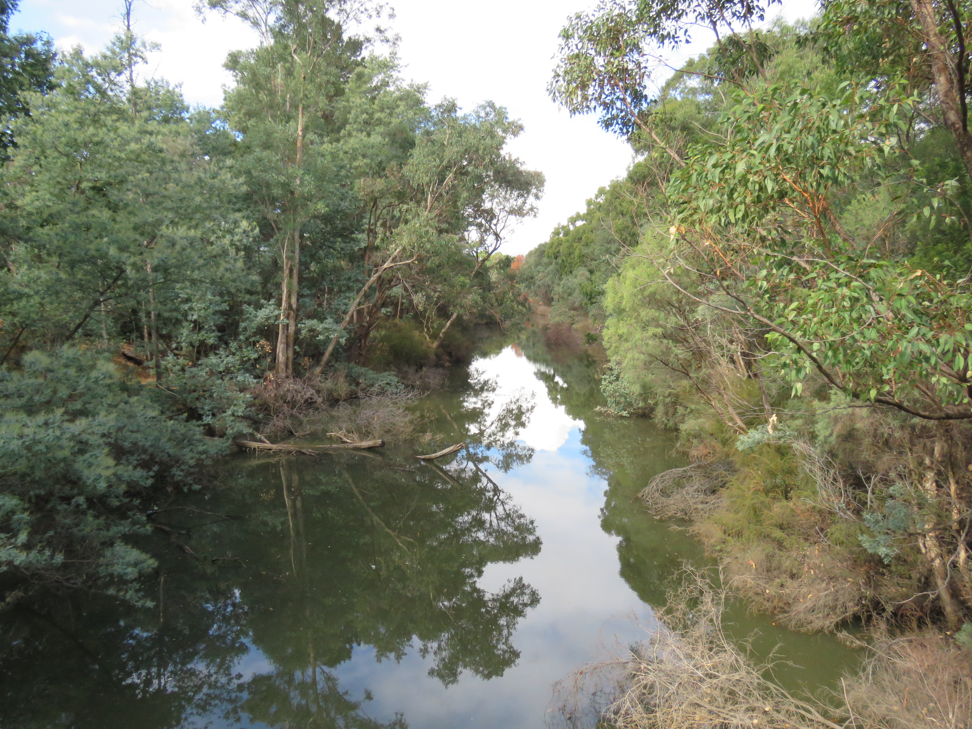 Collie River in Collie